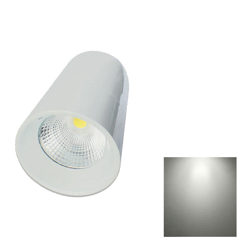LED ペンダントライト 250W水銀灯相当 日亜化学チップ使用 高天井用 LED水銀灯 電源内蔵 68W COBタイプ LEDライト 角度54度LED照明 LDB68W 電球色 LDB68Y 昼白色 相当 照明 LEDランプ ビームテック