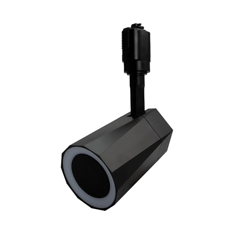bluetooth スピーカー 小型 ポータブルスピーカー 高音質 iPhone Android おしゃれ ブルートゥース 12W リモコン付き 黒 部屋 リビングダイニング キッチン 寝室 美容院 アパレル 店舗 サロン 洗面所 ldrspk12 ビームテック