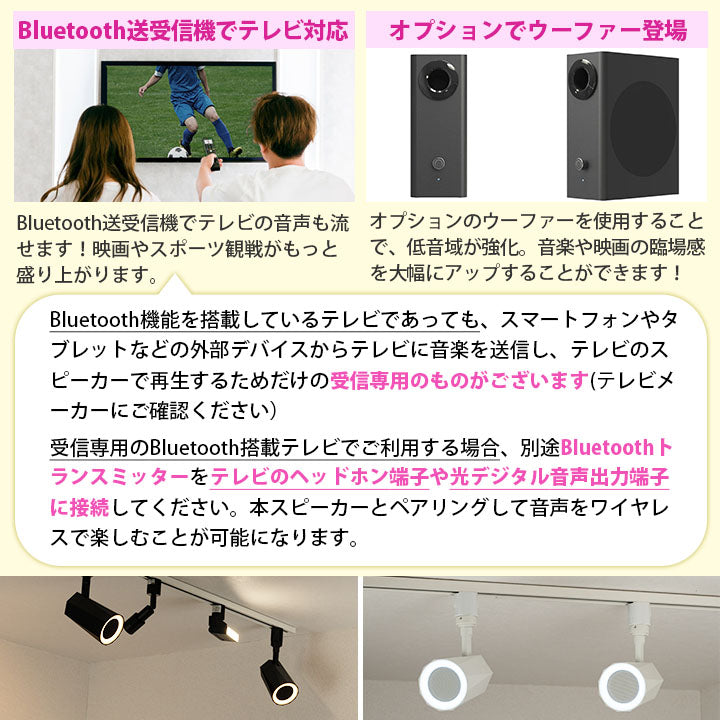 bluetooth スピーカー 小型 ポータブルスピーカー 高音質 iPhone Android おしゃれ ブルートゥース 12W リモコン付き 黒 部屋 リビングダイニング キッチン 寝室 美容院 アパレル 店舗 サロン 洗面所 ldrspk12 ビームテック