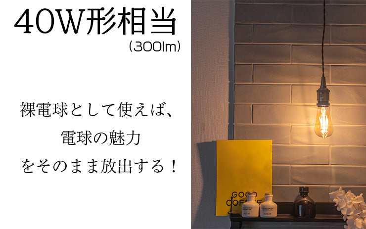LED電球 E26 30W 相当 300度 フィラメント エジソン レトロ 北欧 虫対策 濃い電球色 300lm LDST4H-FD-BT-G ビームテック