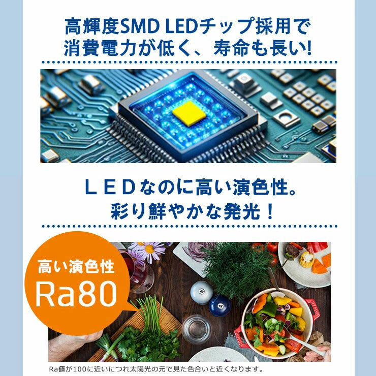 LED投光器 電球色 昼光色 黒 白 10W 30W IP65 屋内 屋外 防塵 耐塵 防水 本体スイッチで調色 ビームテック