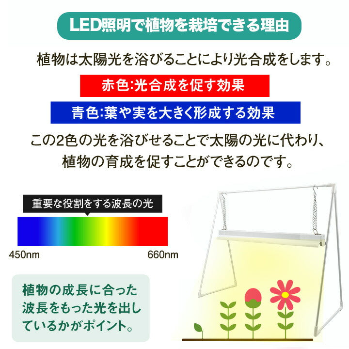 LED植物育成ライト 卓上育成ライト 卓上 植物育成 室内植物栽培 テーブルグローランプ タイマー LG-TRILUX ビームテック