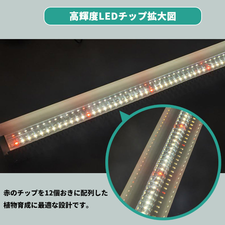 LED植物育成ライト 卓上育成ライト 卓上 植物育成 室内植物栽培 テーブルグローランプ タイマー LG-TRILUX ビームテック
