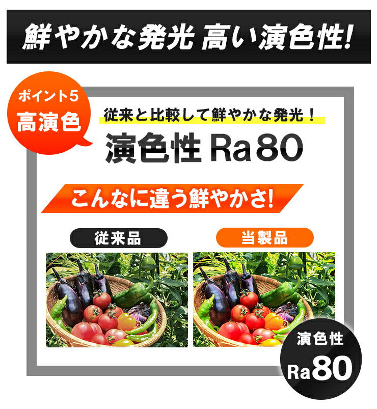 LED電球付き クランプライト 屋外用 作業灯 投光器 照明 業務用 オフィス 工場 現場 作業用 ライト クランプライト ワークライト ClampPar38-LDR17