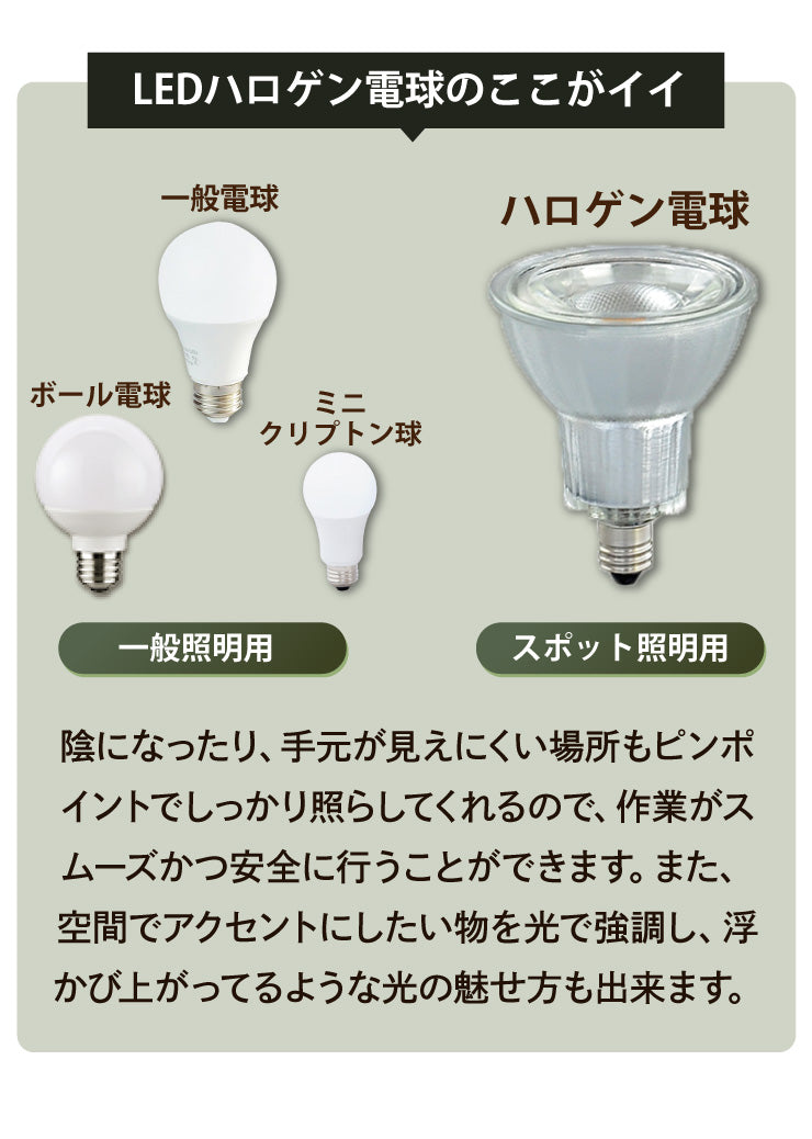 LED電球付き クリップライト 照明 業務用 オフィス 工場 現場 作業用 ライト クリップライト ワークライト CLIPE26-LDR10