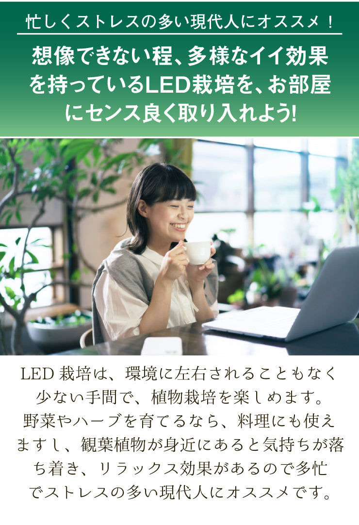 LED電球付き クリップライト LED 植物育成 水耕栽培 LEDライト 観葉 植物 育成 ガーデニング 植物育成ライト E26 赤 青 CLIPE26-LG7E26 ビームテック