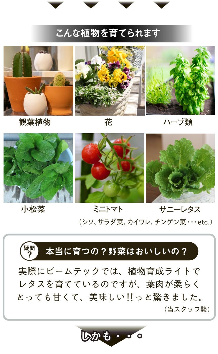 LED電球付き クリップライト LED 植物育成 水耕栽培 LEDライト 観葉 植物 育成 ガーデニング 植物育成ライト E26 赤 青 CLIPE26-LG7E26 ビームテック