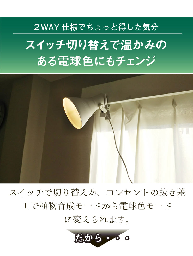 LED電球付き クリップライト LED 植物育成 水耕栽培 LEDライト 観葉 植物 育成 ガーデニング 植物育成ライト E26 赤 青 CLIPE26-LG7E26 ビームテック
