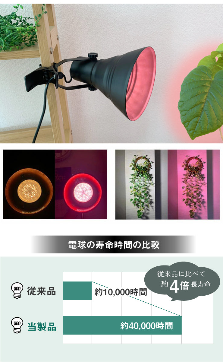 LED電球付き クリップライト LED 植物育成 水耕栽培 LEDライト 観葉 植物 育成 ガーデニング 植物育成ライト E26 赤 青 CLIPE26-LG7E26 ビームテック