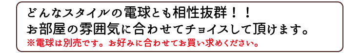 ペンダントライト 1灯 E26 LED おしゃれ 天井照明 照明 照明器具 アルミ レトロ アンティーク CSE26CU