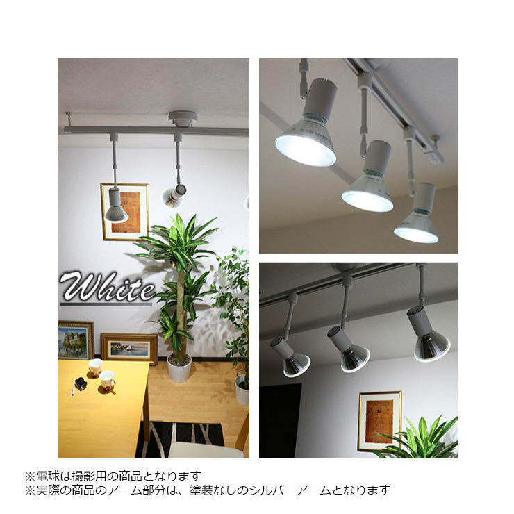 ダクトレール スポットライト 照明 ライト レールライト E26 LED電球付き 60W 相当 210度 調光 調色 虫対策 電球色 昼白色 昼光色 リモコン 工事不要 リモコンセット 黒 白 E26RS-LDA8W2C4R ビームテック