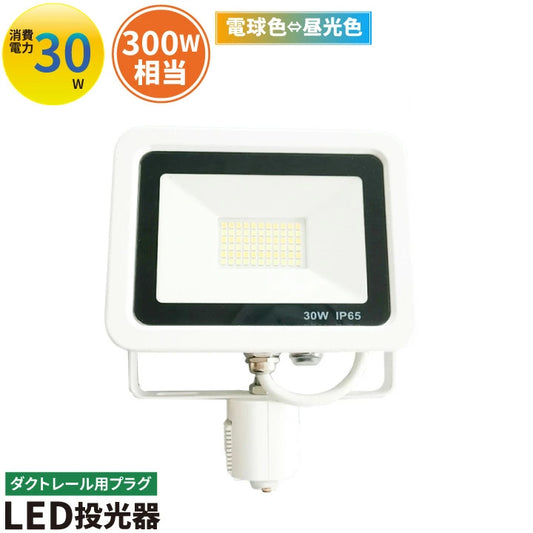 LED投光器 ダクトレール スポットライト 電球色 昼光色 黒 白 30W IP65 屋内 屋外 防塵 耐塵 防水 LEW030DR ビームテック