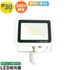 LED投光器 ダクトレール スポットライト 電球色 昼光色 黒 白 30W IP65 屋内 屋外 防塵 耐塵 防水 LEW030DR ビームテック