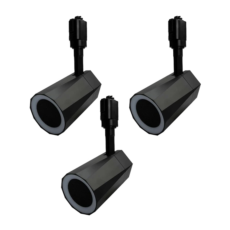 ステレオ Bluetooth スピーカー TWS 小型 ポータブルスピーカー 高音質 iPhone Android おしゃれ ブルートゥース 12W リモコン付き 黒 白 部屋 テレビ リビングダイニング キッチン 寝室 美容院 アパレル 店舗 サロン 洗面所 LDRSPK12ST ビームテック