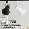 ダクトレール スポットライト 照明 ライト レールライト E26 LED電球付き 60W 相当 210度 調光 調色 虫対策 電球色 昼白色 昼光色 リモコン 工事不要 リモコンセット 黒 白 E26RP-LDA8W2C4R ビームテック