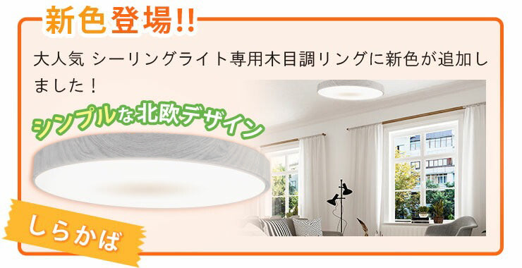 LEDシーリングライト 専用 おしゃれ 天井直付灯 アクセサリー 北欧 インテリア 照明 ライト 和室 寝室 ダイニング 食卓 リビング 居間 CL-RingII ビームテック