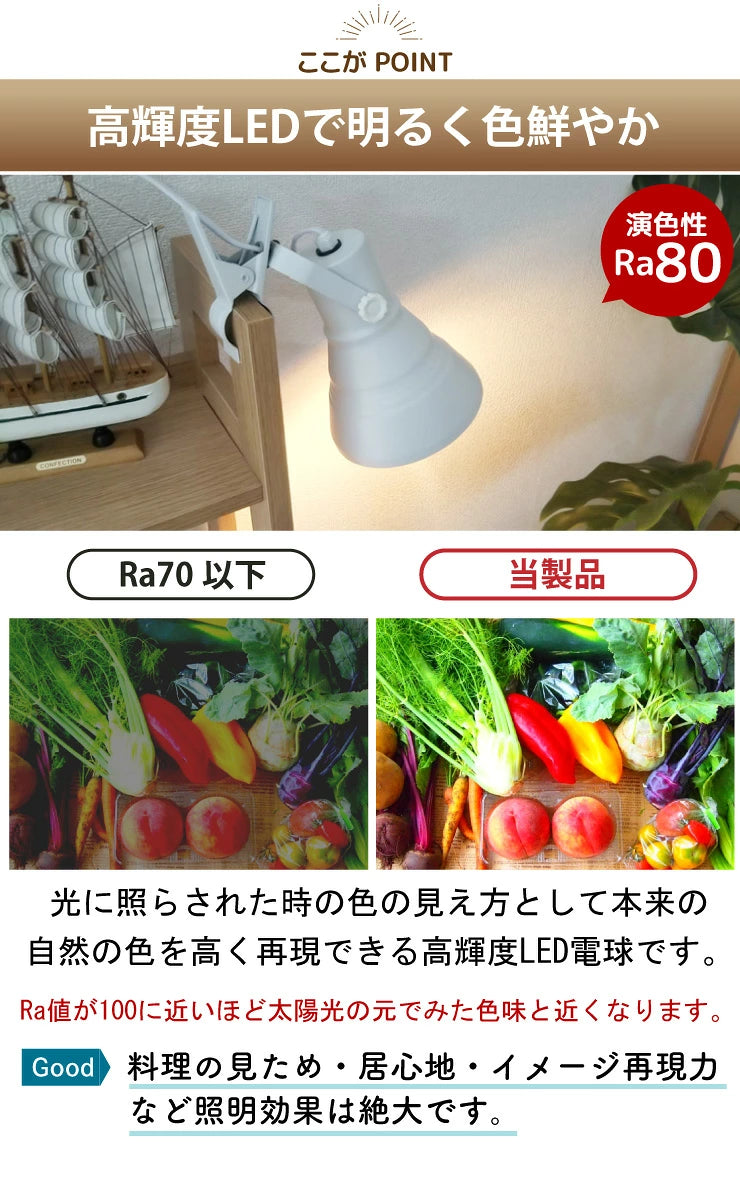LED電球付き クリップライト E26 照明 業務用 オフィス 工場 現場 作業用 ライト クリップライト ワークライト CLIPE26-LDR10