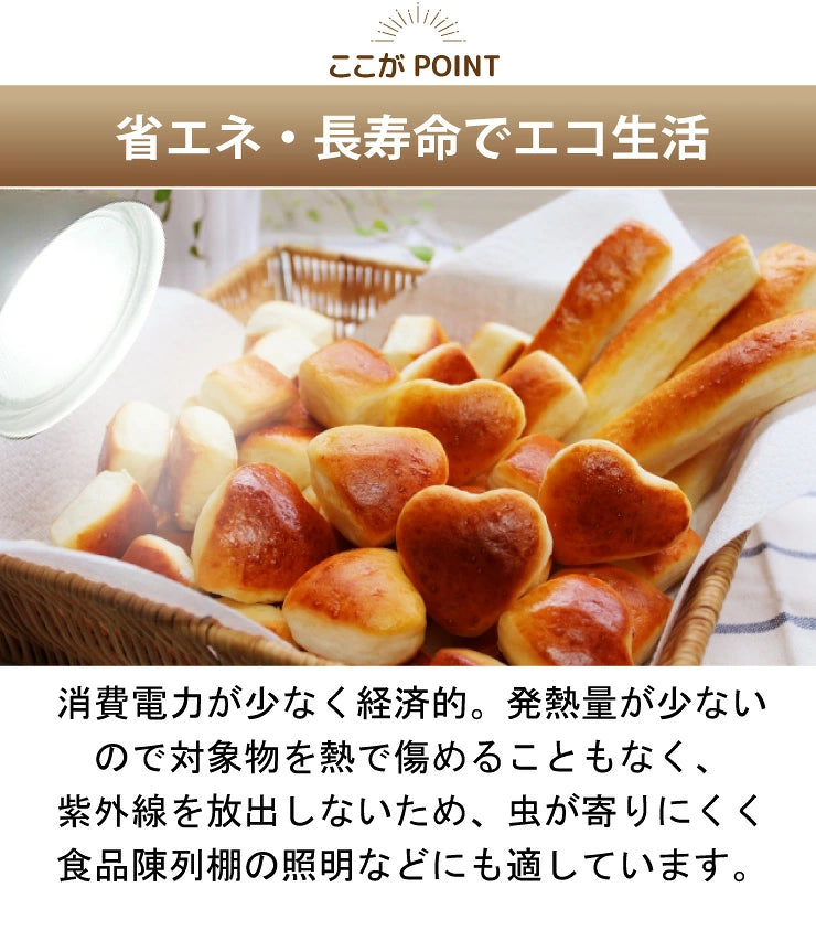 LED電球付き クリップライト E26 照明 業務用 オフィス 工場 現場 作業用 ライト クリップライト ワークライト CLIPE26-LDR17