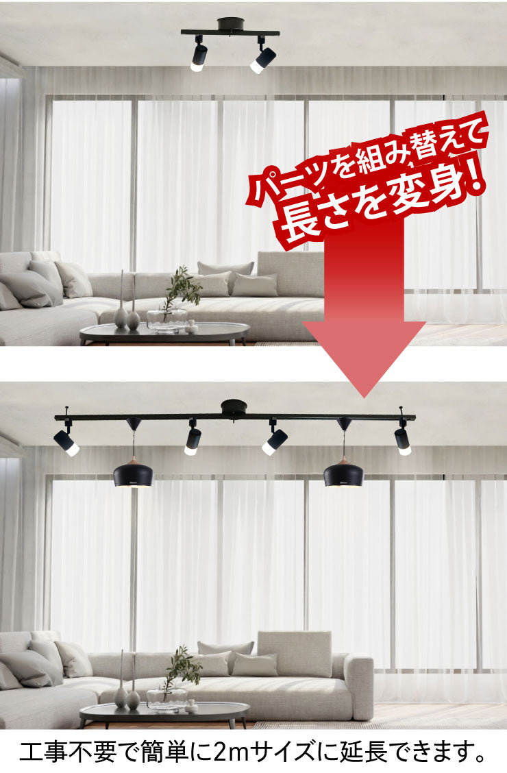 ダクトレール ライティングレール DRS-IIIシリーズ 延長 50cm を 200cm に DRS-LONGER-50-200