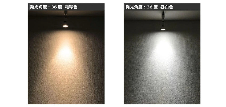 ダクトレール スポットライト 照明 ライト レールライト par16 E11 LED電球付き 60W 黒 白 DLS509F5611D36 ビームテック