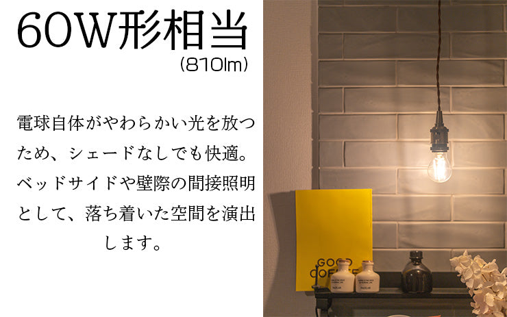 LED電球 E26 60W 相当 300度 フィラメント エジソン レトロ 北欧 虫対策 電球色 810lm LDA7-F-BT-C ビームテック