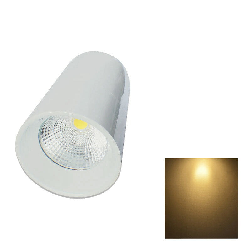 LED ペンダントライト 250W水銀灯相当 日亜化学チップ使用 高天井用 LED水銀灯 電源内蔵 68W COBタイプ LEDライト 角度54度LED照明 LDB68W 電球色 LDB68Y 昼白色 相当 照明 LEDランプ ビームテック