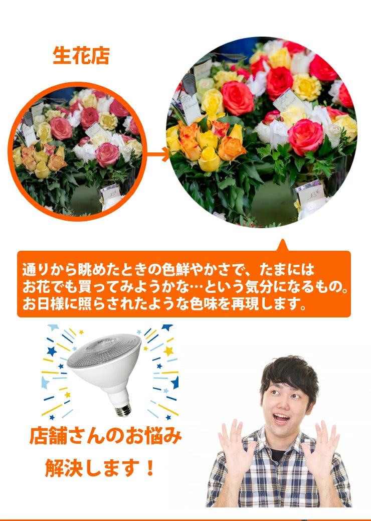 LED スポットライト E26 高演色 Ra95 ビーム球 自然光 明るい 電球色 昼白色 鮮やか 業務用 アパレル LEDライト PAR38 展示 照明 店舗 植物 育成 ガーデニング レストラン 省エネ E26 LDR14L-W38 LG14PAR38-YW ビームテック