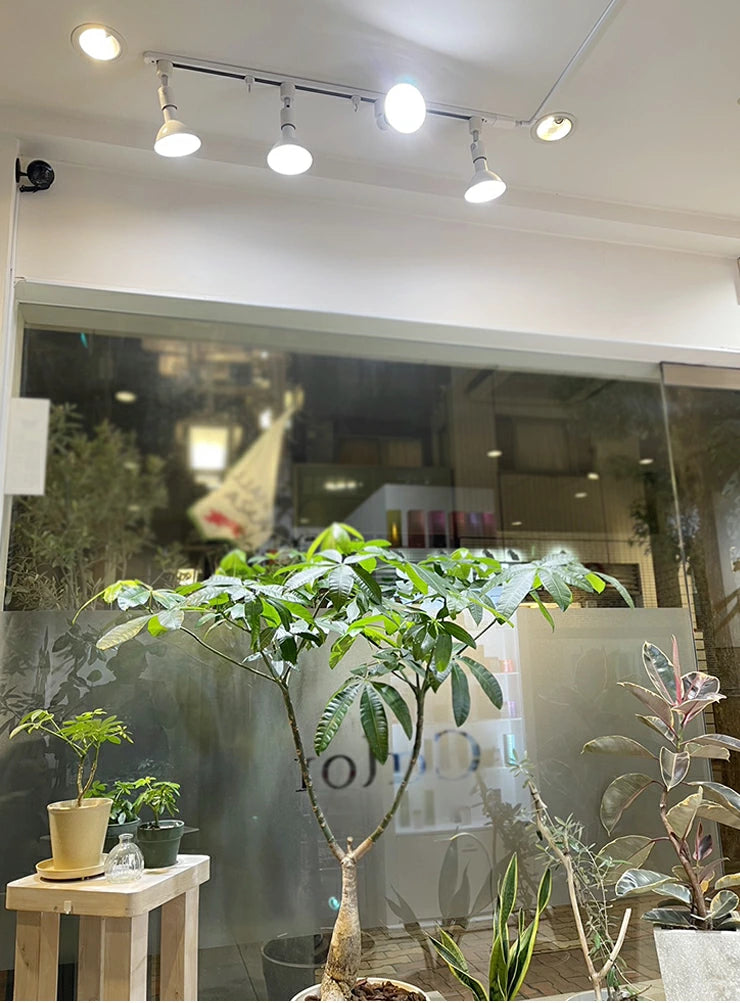 LED スポットライト E26 高演色 Ra95 ビーム球 自然光 明るい 電球色 昼白色 鮮やか 業務用 アパレル LEDライト PAR38 展示 照明 店舗 植物 育成 ガーデニング レストラン 省エネ E26 LDR14L-W38 LG14PAR38-YW ビームテック