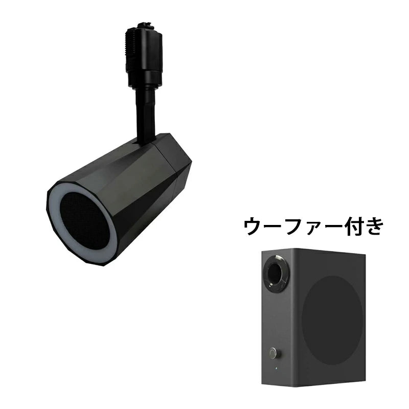 ステレオ Bluetooth スピーカー TWS 小型 ポータブルスピーカー 高音質 iPhone Android おしゃれ ブルートゥース 12W リモコン付き 黒 白 部屋 テレビ リビングダイニング キッチン 寝室 美容院 アパレル 店舗 サロン 洗面所 LDRSPK12ST ビームテック