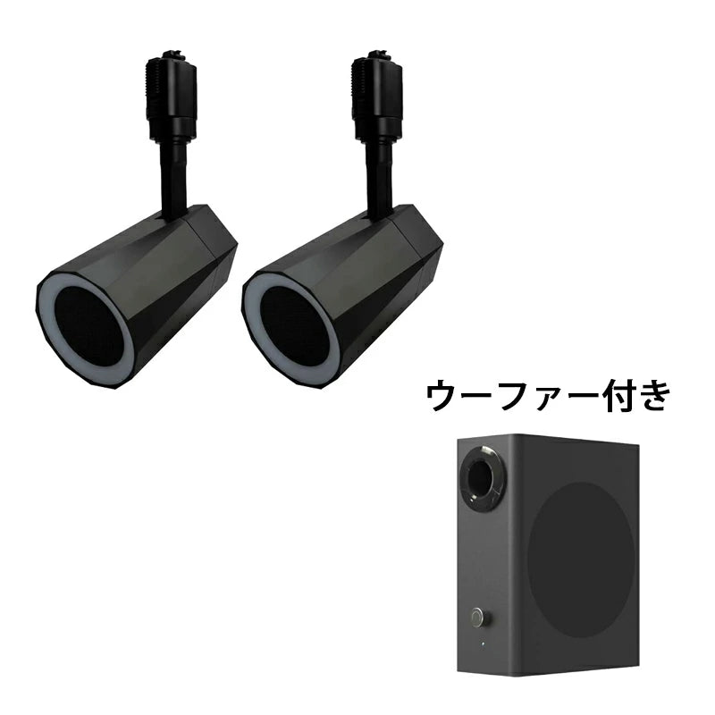 ステレオ Bluetooth スピーカー TWS 小型 ポータブルスピーカー 高音質 iPhone Android おしゃれ ブルートゥース 12W リモコン付き 黒 白 部屋 テレビ リビングダイニング キッチン 寝室 美容院 アパレル 店舗 サロン 洗面所 LDRSPK12ST ビームテック
