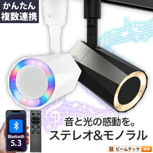 bluetooth スピーカー ステレオ TWS  小型 ポータブルスピーカー 高音質 iPhone Android おしゃれ ブルートゥース 12W リモコン付き 黒 白 部屋 リビングダイニング キッチン 寝室 美容院 アパレル 店舗 サロン 洗面所  LDRSPK12ST ビームテック