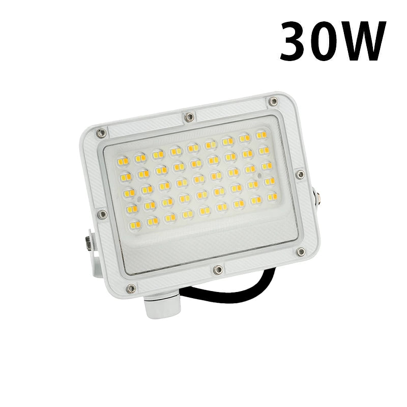 LED投光器 電球色 昼白色 昼光色 黒 白 30W IP65 屋内 屋外 防塵 耐塵 防水 LEW030DOUII ビームテック