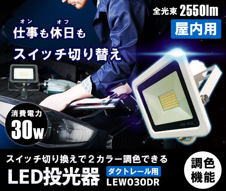 LED投光器 ダクトレール スポットライト 電球色 昼光色 黒 白 30W IP65 屋内 屋外 防塵 耐塵 防水 LEW030DR ビームテック