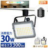 LED投光器 ダクトレール スポットライト 電球色 昼光色 黒 白 30W IP65 屋内 屋外 防塵 耐塵 防水 LEW030DRII ビームテック