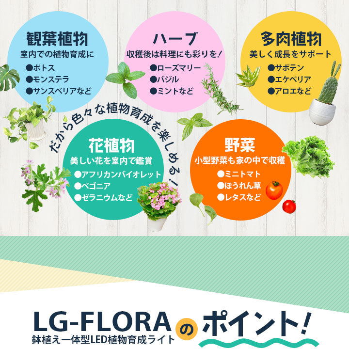 LED植物育成ライト 卓上育成ライト 卓上 植物育成 室内植物栽培 テーブルグローランプ 自動給水 自動水やり タイマー LG-FLORA ビームテック