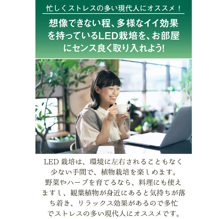 LED 植物育成 水耕栽培 LEDライト 観葉 植物 育成 ガーデニング 植物育成ライト E26 LG14PAR38-YW ビームテック