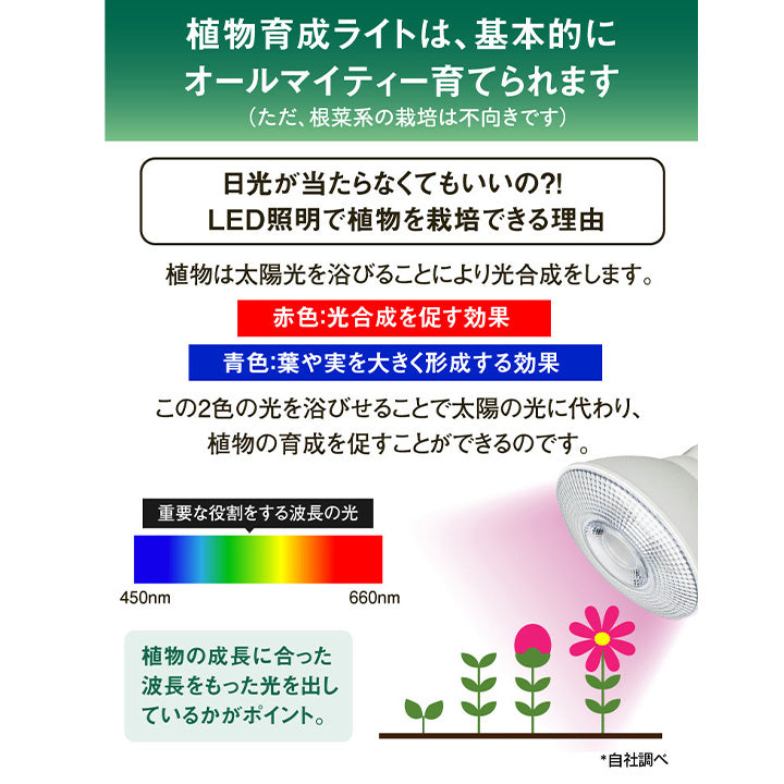 LED 植物育成 水耕栽培 LEDライト 観葉 植物 育成 ガーデニング 植物育成ライト E26 LG14PAR38-YW ビームテック