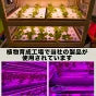 LED 植物育成 水耕栽培 LEDライト 観葉 植物 育成 ガーデニング 植物育成ライト LED蛍光灯 20W 器具一体型 直管 T5 LED 直管蛍光灯 LED蛍光管 天井照明 間接照明 棚下照明 ショーケース照明 バーライト 取付金具付き LG20-T5V ビームテック