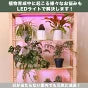 LED 植物育成 水耕栽培 LEDライト 観葉 植物 育成 ガーデニング 植物育成ライト LED蛍光灯 20W 器具一体型 直管 T5 LED 直管蛍光灯 LED蛍光管 天井照明 間接照明 棚下照明 ショーケース照明 バーライト 取付金具付き LG20-T5V ビームテック