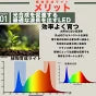 LED 植物育成 水耕栽培 LEDライト 観葉 植物 育成 ガーデニング 植物育成ライト LED蛍光灯 20W 器具一体型 直管 T5 LED 直管蛍光灯 LED蛍光管 天井照明 間接照明 棚下照明 ショーケース照明 バーライト 取付金具付き LG20-T5V ビームテック