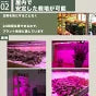 LED 植物育成 水耕栽培 LEDライト 観葉 植物 育成 ガーデニング 植物育成ライト LED蛍光灯 20W 器具一体型 直管 T5 LED 直管蛍光灯 LED蛍光管 天井照明 間接照明 棚下照明 ショーケース照明 バーライト 取付金具付き LG20-T5V ビームテック