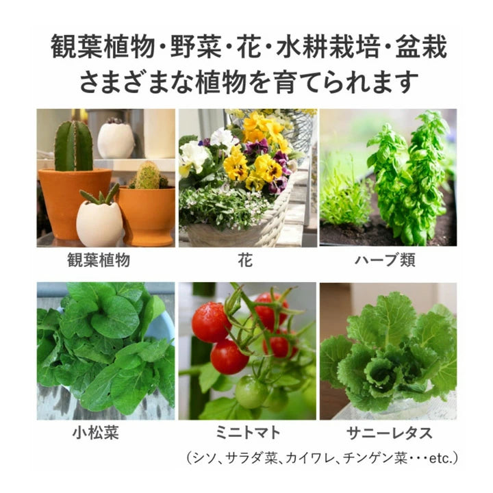 LED 植物育成 水耕栽培 LEDライト 観葉 植物 育成 ガーデニング 植物 LED 植物育成 水耕栽培 LEDライト 観葉 植物 育成 ガーデニング 植物