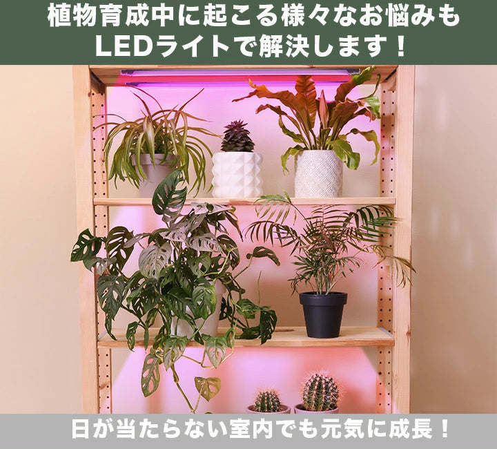 LED 植物育成 水耕栽培 LEDライト 観葉 植物 育成 ガーデニング 植物育成ライト LED蛍光灯 20W 器具一体型 直管 T5 LG20-T5R ビームテック