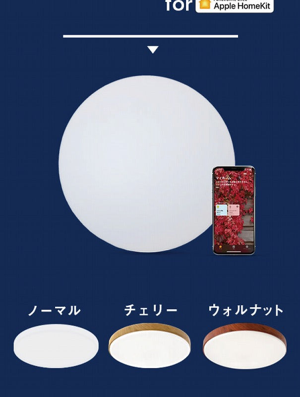 LEDシーリングライト スマートトークライコン for Homekit CL