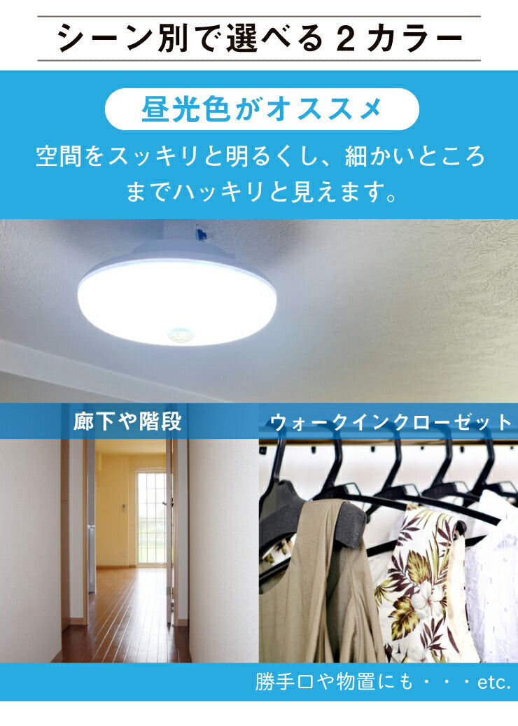 シーリングライト LED 人感センサー ライト 屋内 室内 コンパクト 小型 ...