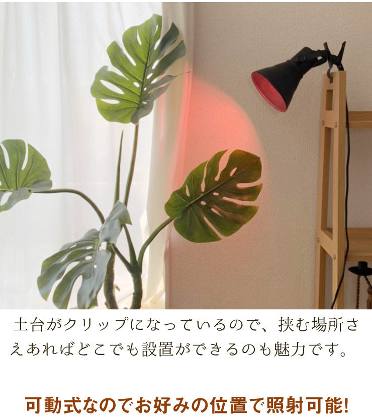 LED電球付き クリップライト LED 植物育成 水耕栽培 LEDライト 観葉 植物 育成 ガーデニング 植物育成ライト E26 赤 青 CLIPE26-LG7E26 ビームテック