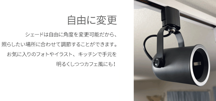 ダクトレール スポットライト 照明 ライト レールライト E11 黒 白 DLS505A ビームテック