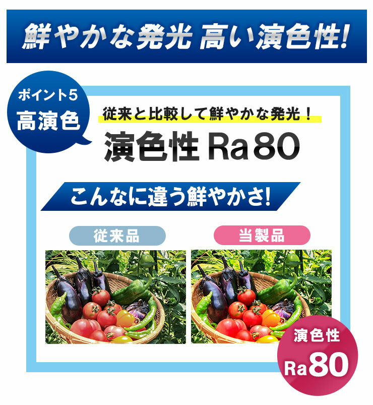 LED電球付きスポットライト 照明 業務用 オフィス 工場 現場 作業用 ライト ブラケットライト ワークライト E26FLPAR-LDR17 ブラック