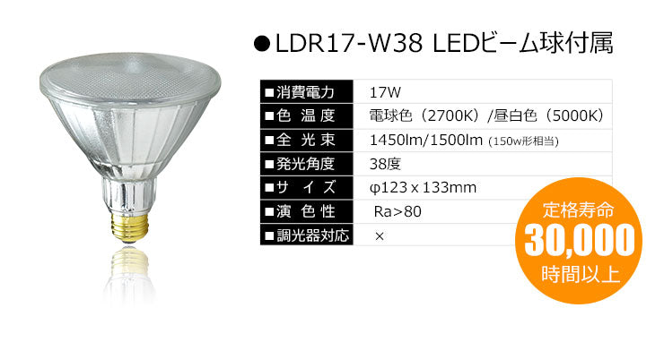 LEDビーム球付属 150W ブラケットライト スポット ライト 壁掛け E26FLPAR38K-WP-LDR17 ビームテック ブラック
