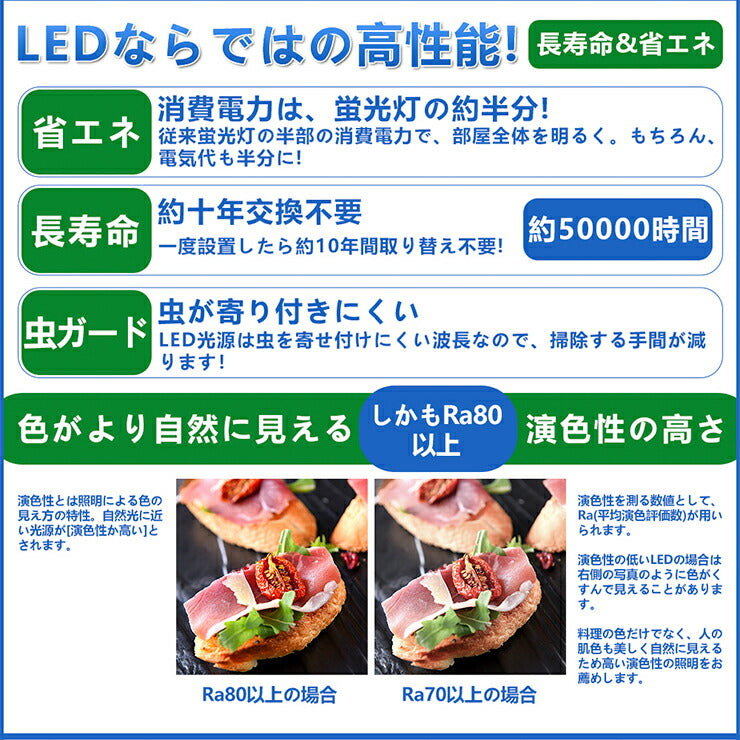 LED蛍光灯 40W 40形 直管 器具 照明器具 一体型 ベースライト 逆富士 虫対策 昼白色 5200lm 昼光色 5200lm FBL40N32-F ビームテック